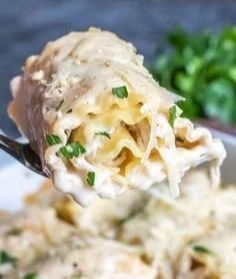 Easy Chicken Alfredo Lasagna Rolls 2 Easy Chicken Alfredo Lasagna Rolls baked and ready to serve